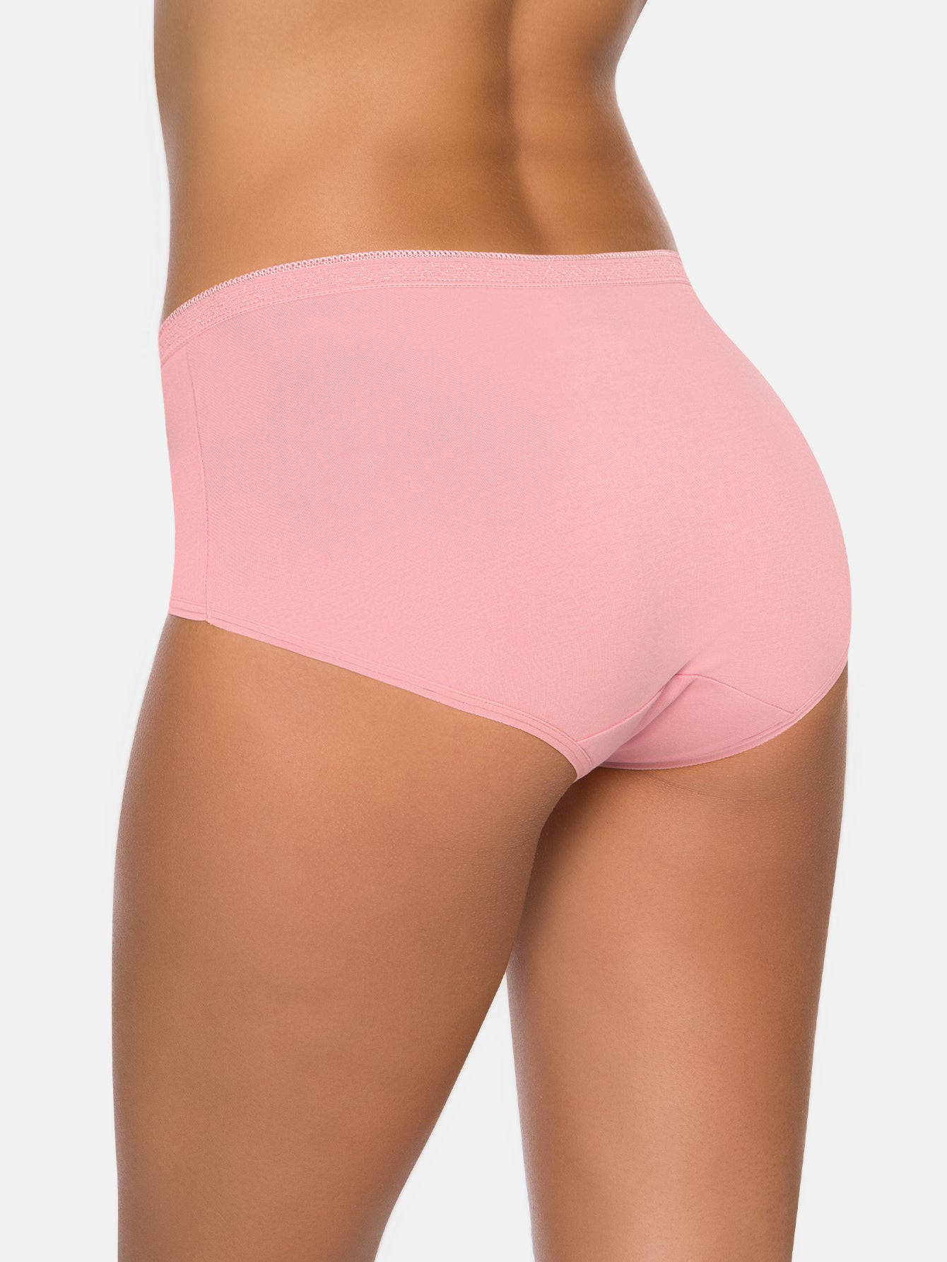 Women's Plus Size Cotton Brief Multipack  5-pack 1808